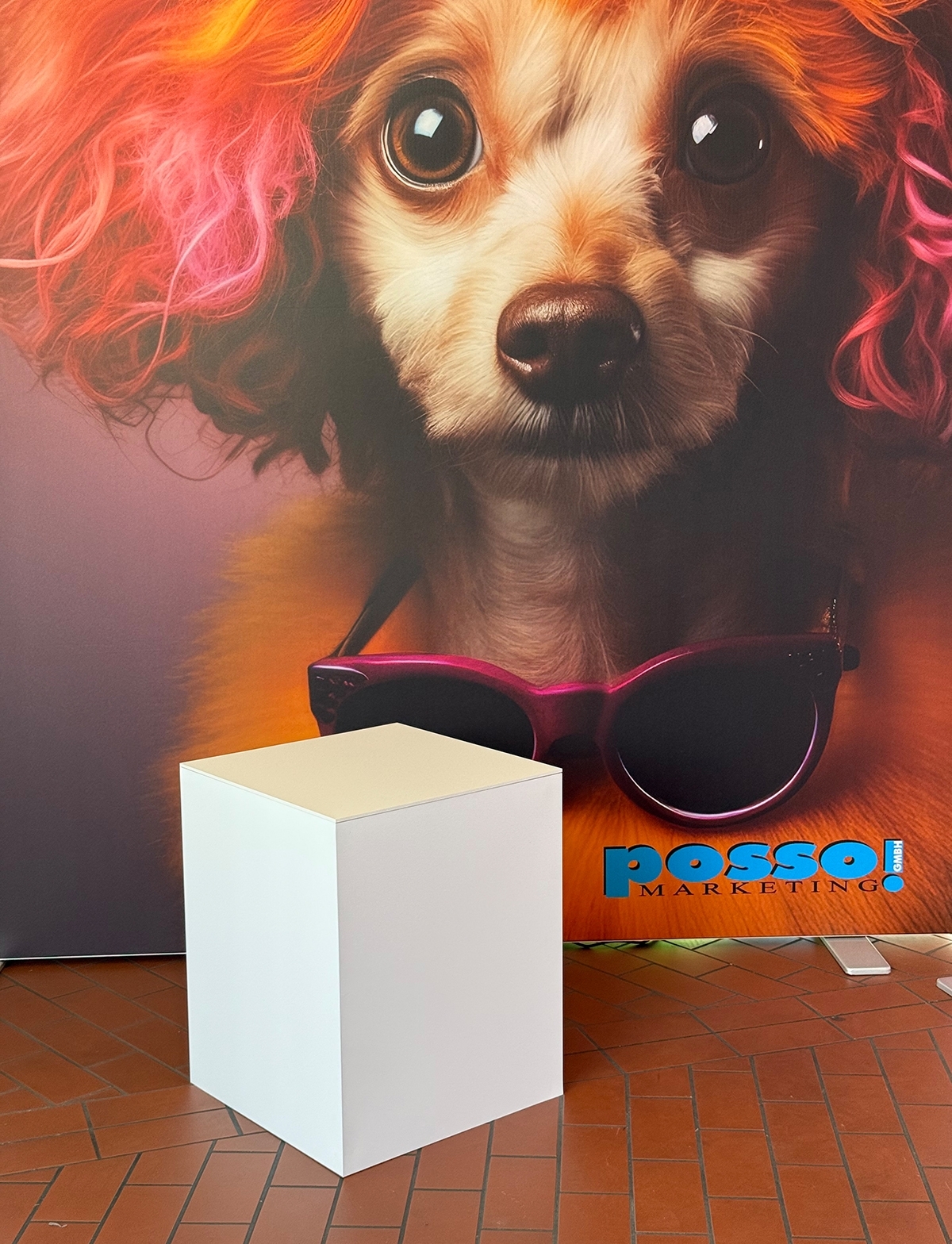 Messe Podest 40x40x50cm, stabile Ausführung mit Tragetasche